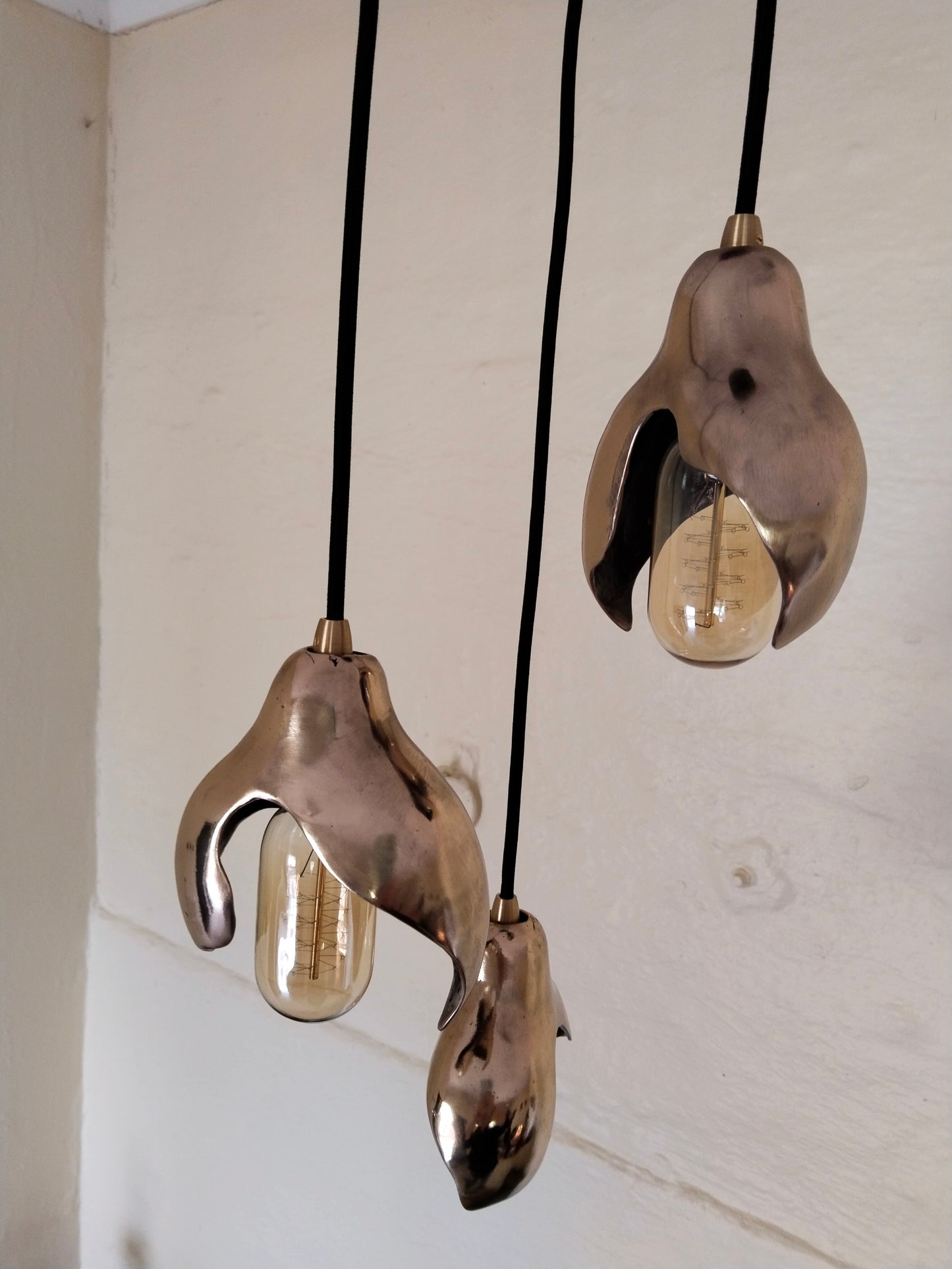 Seedpod Chandelier